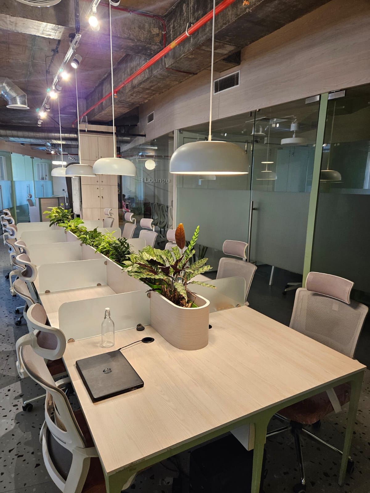 Modern Common Workspace at Wexron Infotech